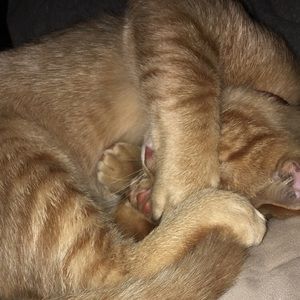 Meet your Posher, Jacob